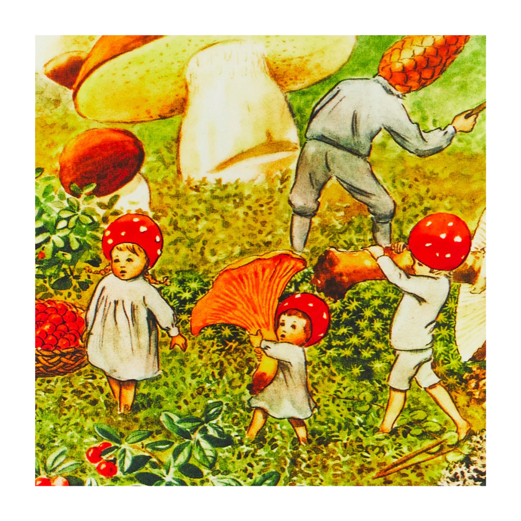 Sarah's Silks Seek & Find Playsilk · Elsa Beskow's Mushroom Family