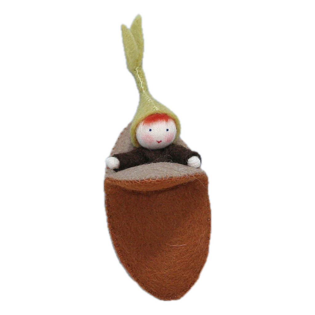 Seedling Baby in Seed Pod • Fair