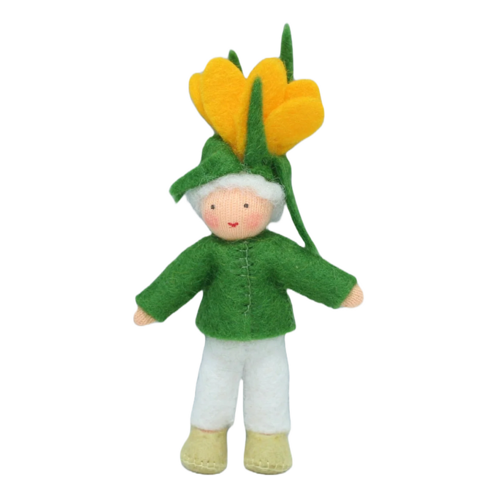 Crocus Flower Boy · Fair