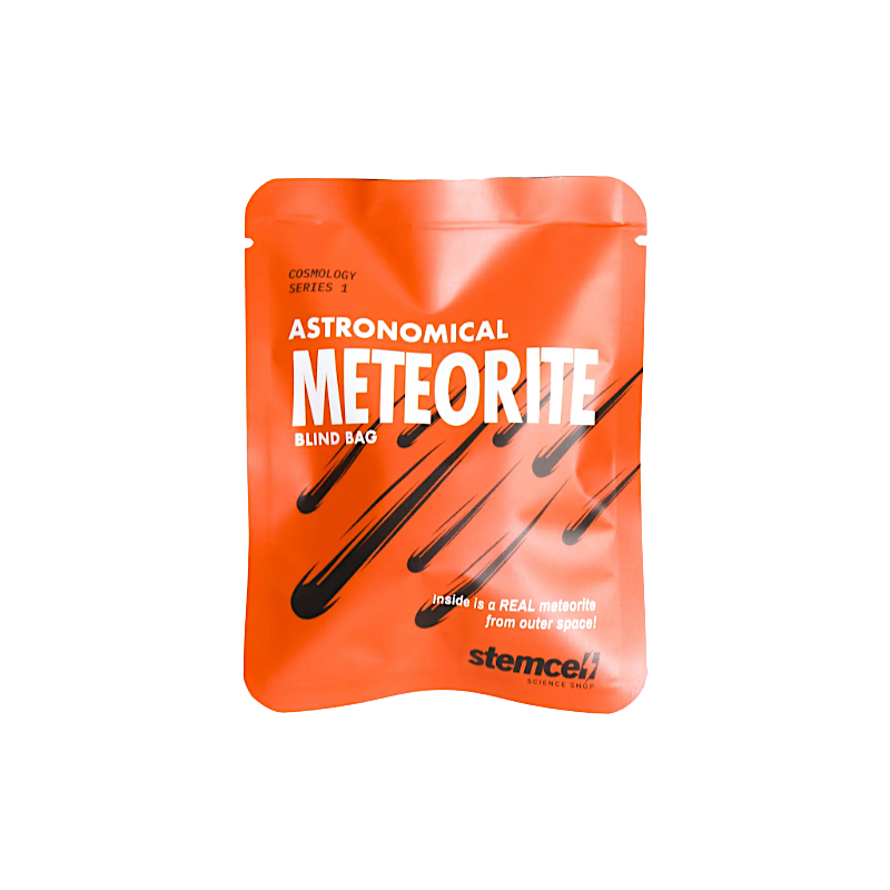 Stemcell Science Meteorite Blind Bag | Acorn Toy Shop