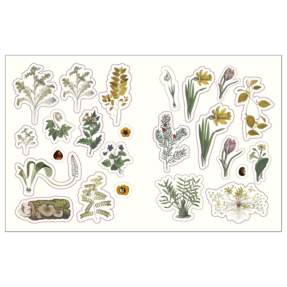 The Forests, Fairies and Fungi Sticker Anthology: With More Than 1,000 Vintage Stickers