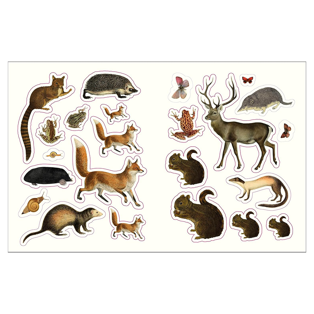 The Forests, Fairies and Fungi Sticker Anthology: With More Than 1,000 Vintage Stickers
