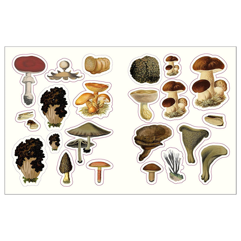 The Forests, Fairies and Fungi Sticker Anthology: With More Than 1,000 Vintage Stickers