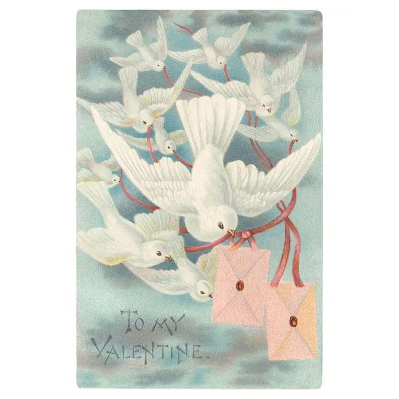 To My Valentine Doves with Letters Note Card