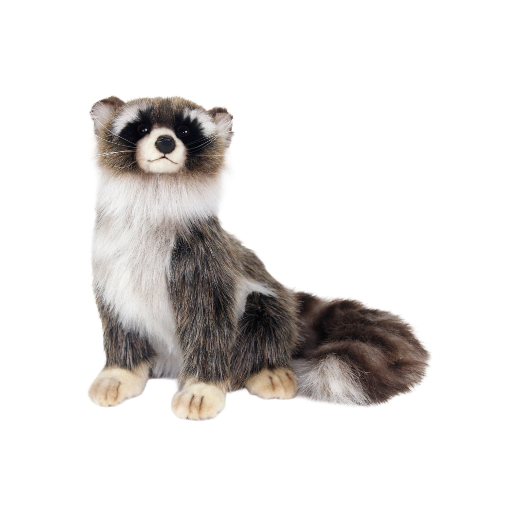Hansa Young Raccoon