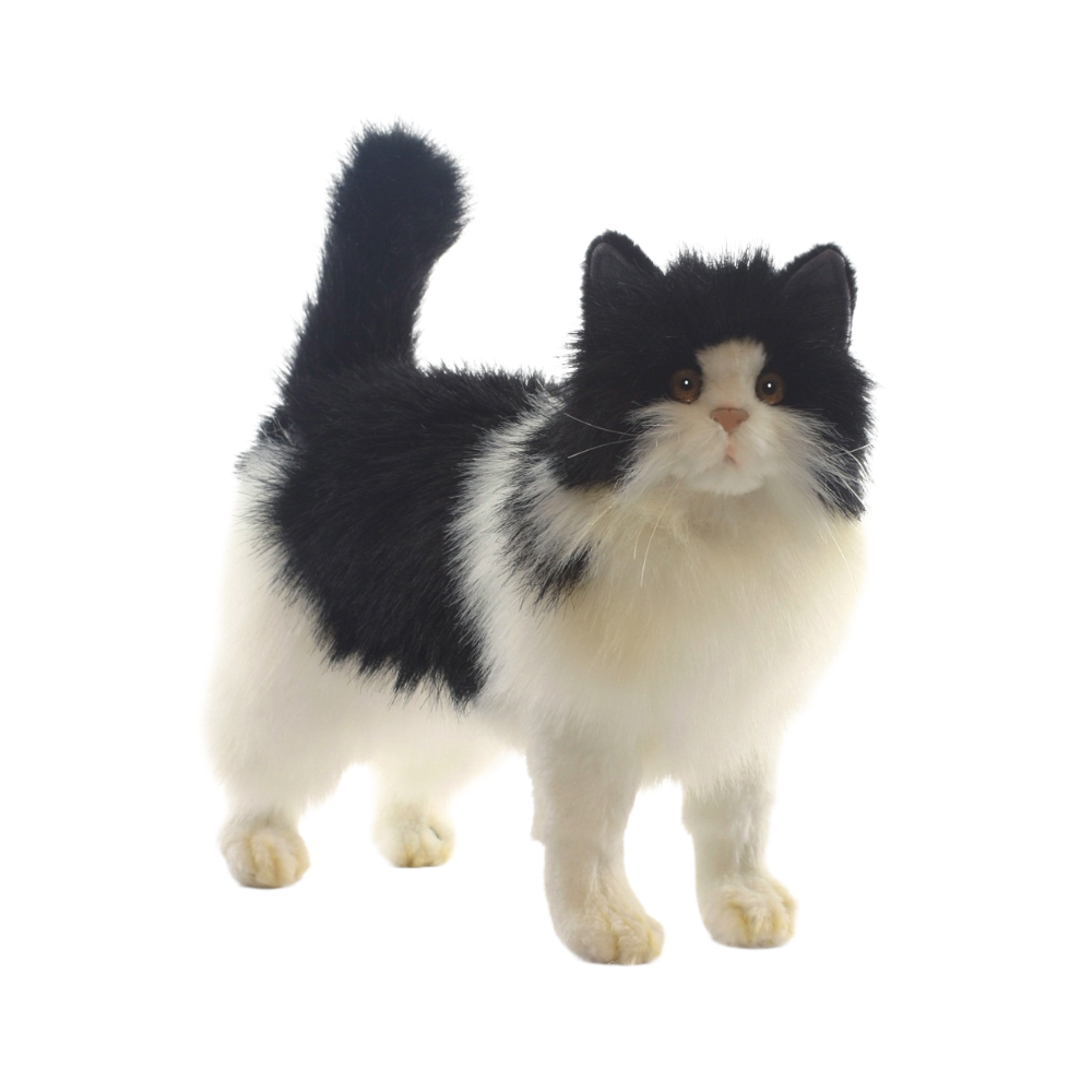 Hansa Black and White Cat