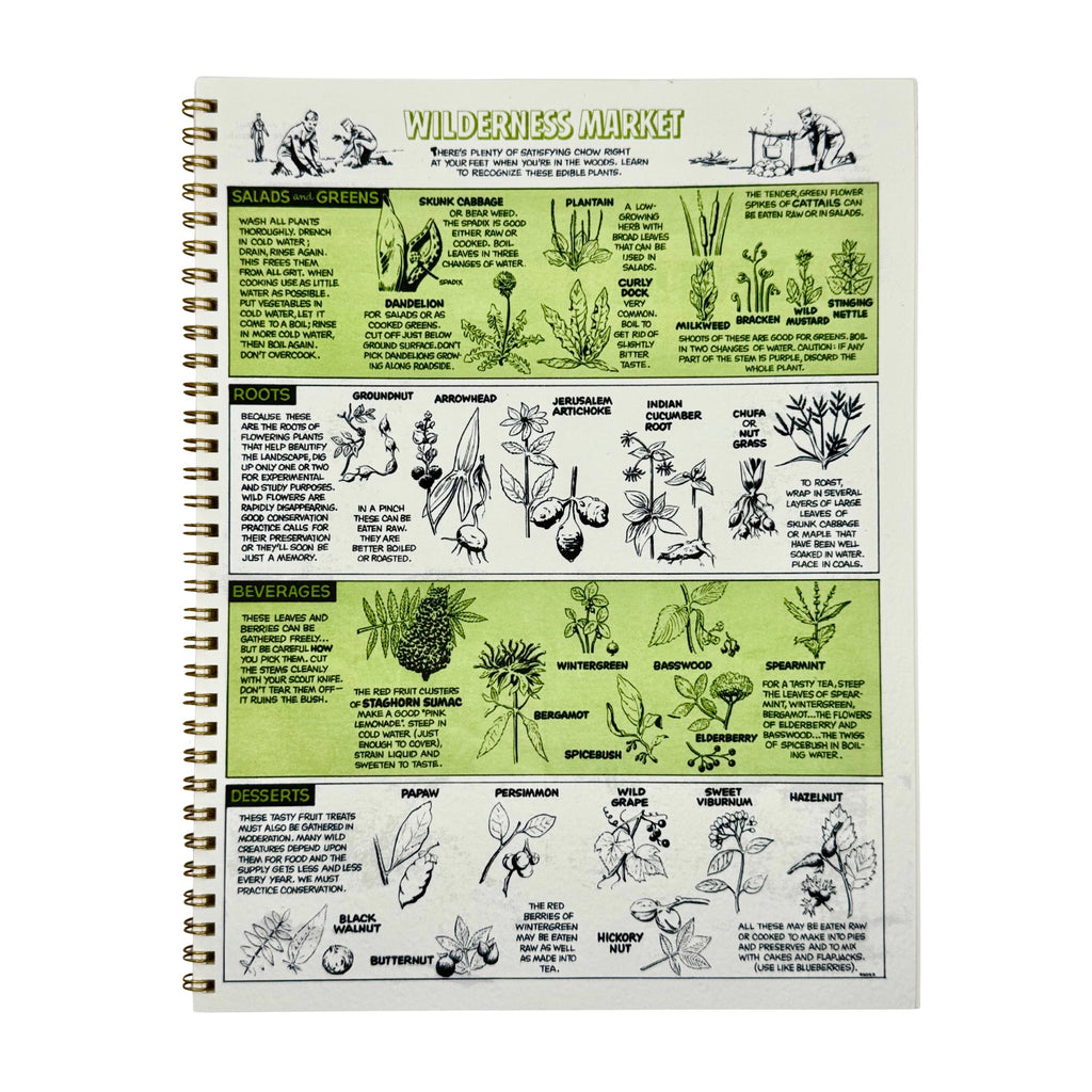 Parcel Wilderness Market Notebook