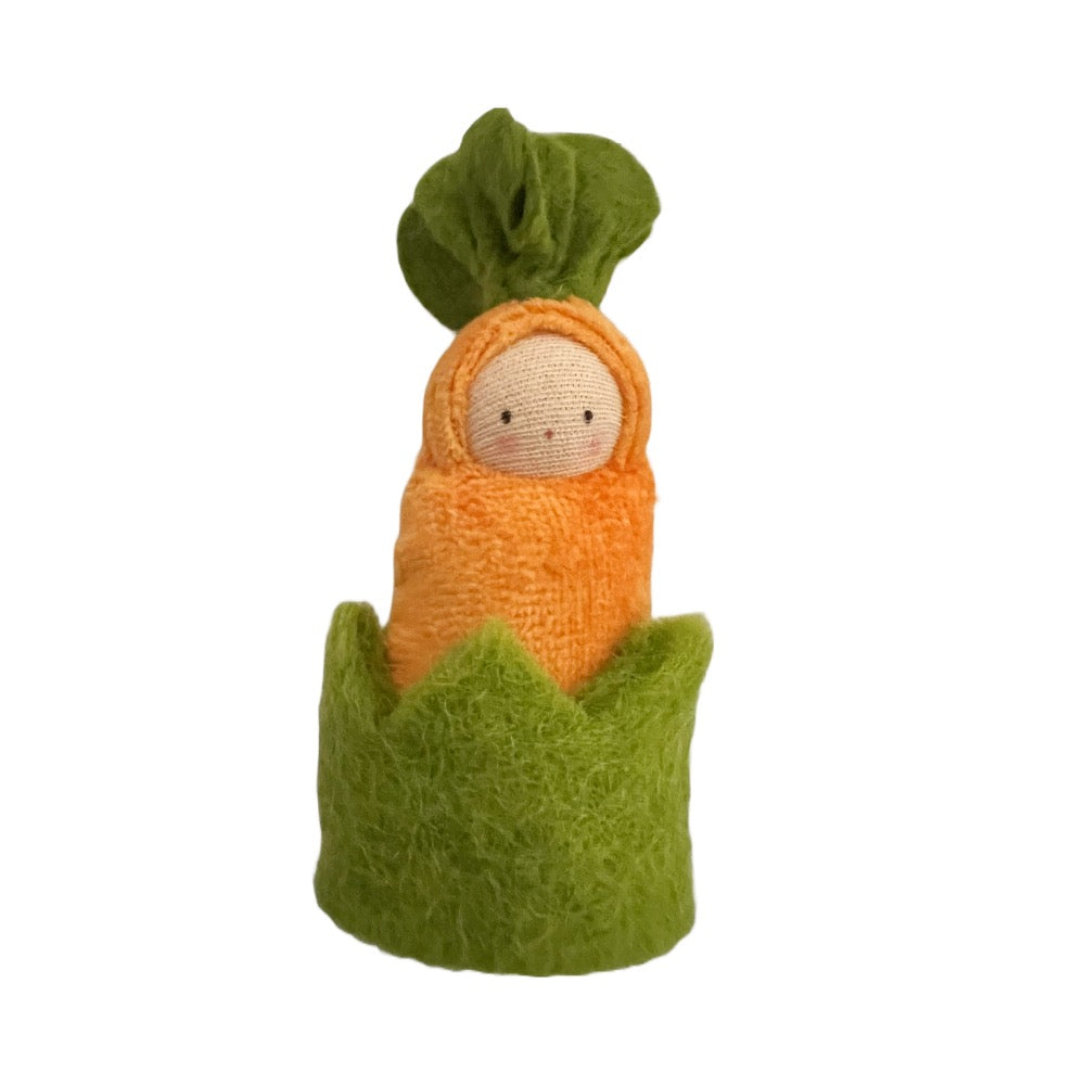 Carrot in Grass Cozy