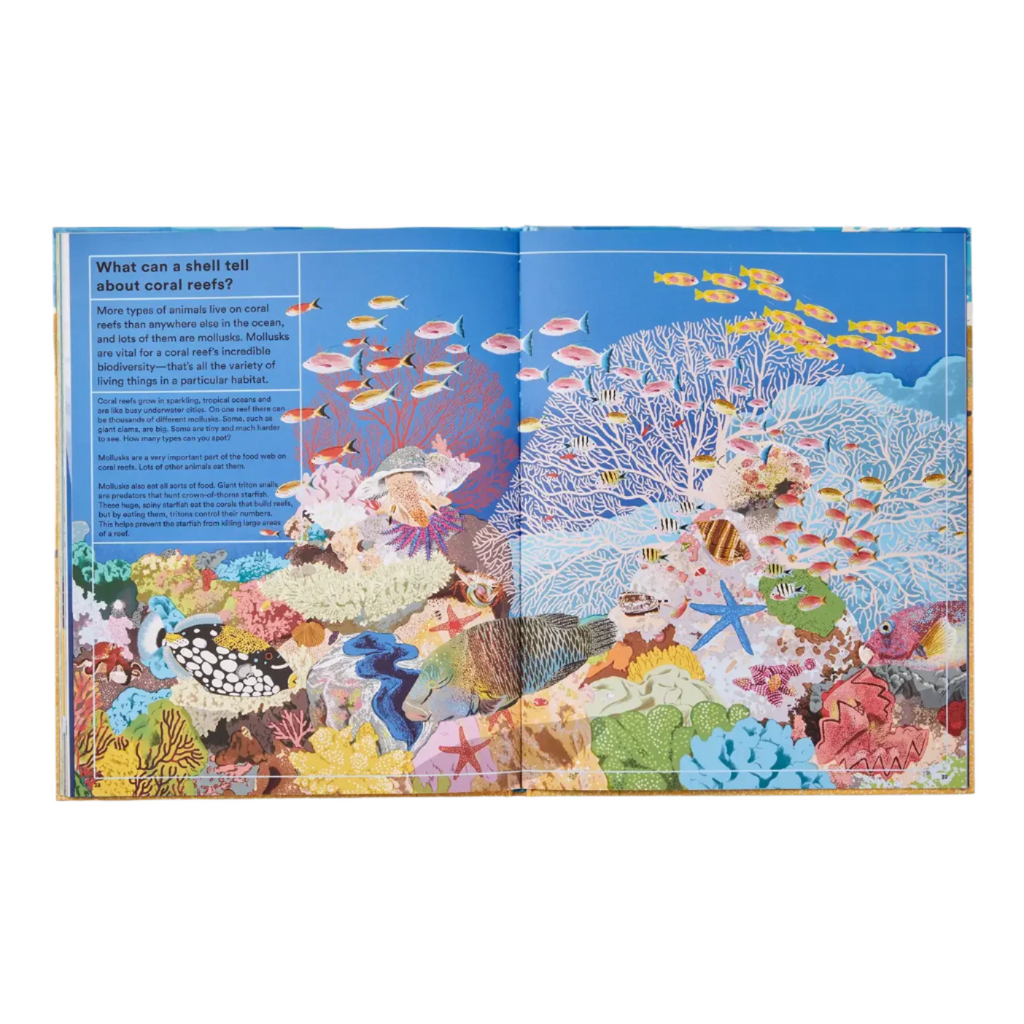 What A Shell Can Tell by Helen Scales