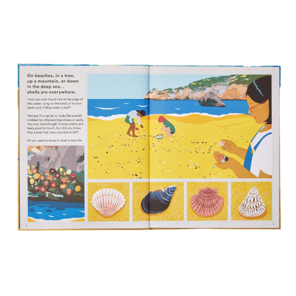 What A Shell Can Tell by Helen Scales