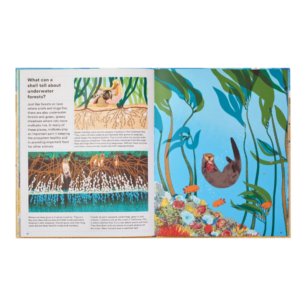 What A Shell Can Tell by Helen Scales