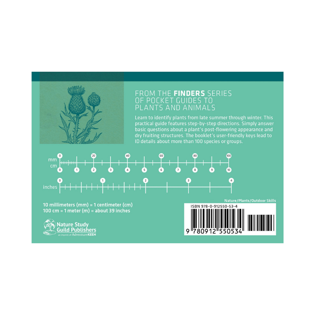 Winter Weed Finder - Identifying Dry Plants of Central and Eastern North America