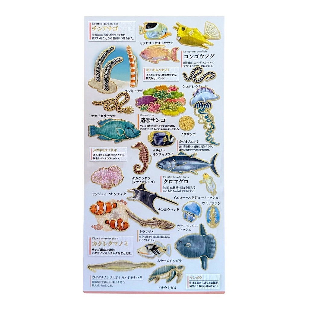 Goldfoil Sticker Sheet · Warm Water Ocean Creatures