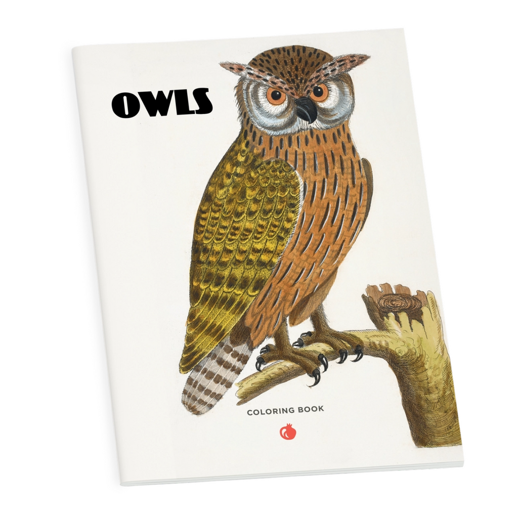 Owls Coloring Book