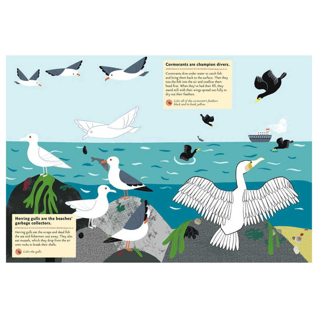 My Nature Sticker Activity Book · At the Seashore