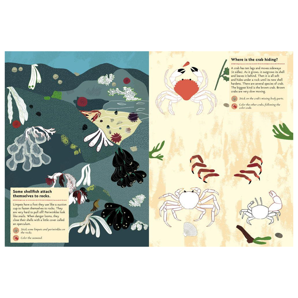 My Nature Sticker Activity Book · At the Seashore