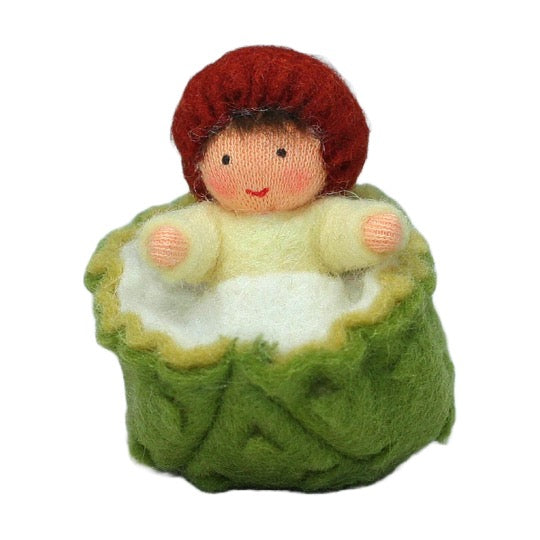 Chestnut Baby · Fair
