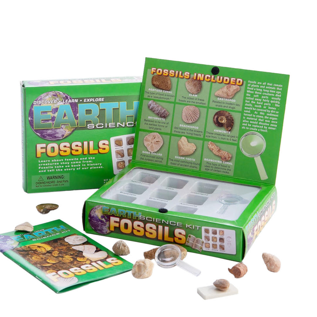 Earth Science Kit · Fossils