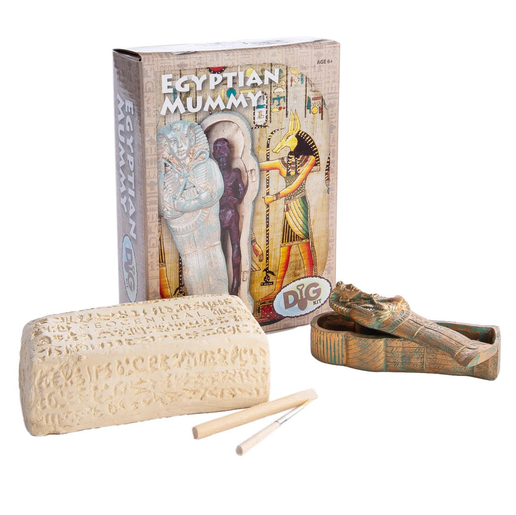 Egyptian Mummy Excavation Kit