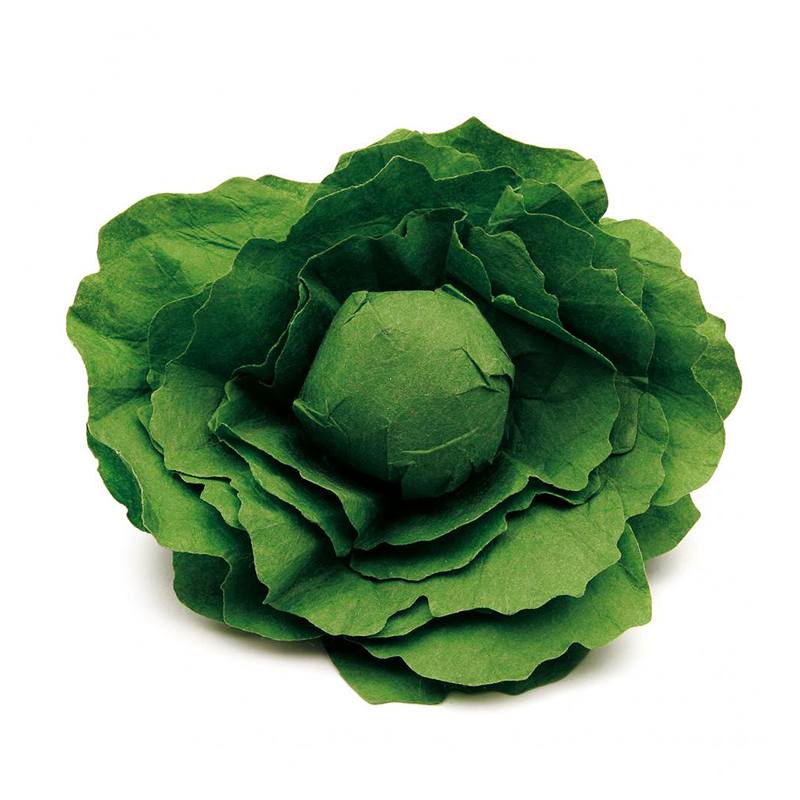 Erzi Lettuce