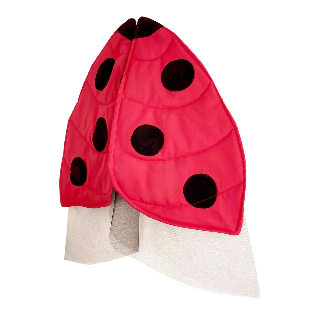 Jack Be Nimble Ladybug Wings