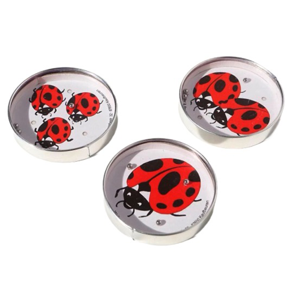 Ladybug Patience Games · Multiple Styles