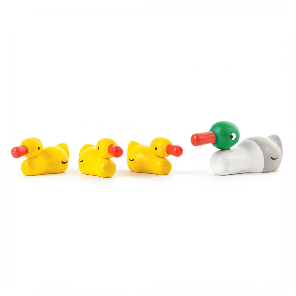 Miniature Duck Family