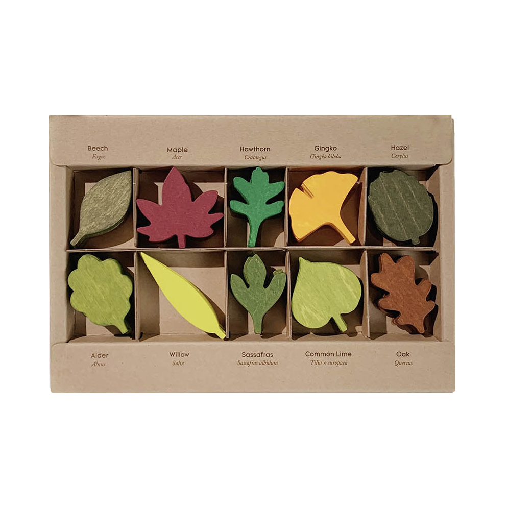 Moon Picnic Woodland Leaves Set