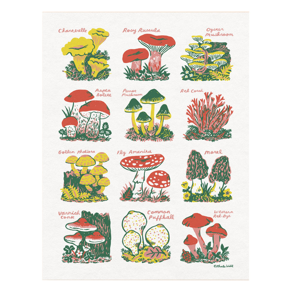 Phoebe Wahl Mushrooms Print
