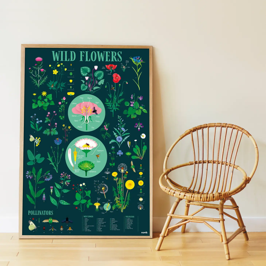 Poppik Wildflower Poster and Sticker Set