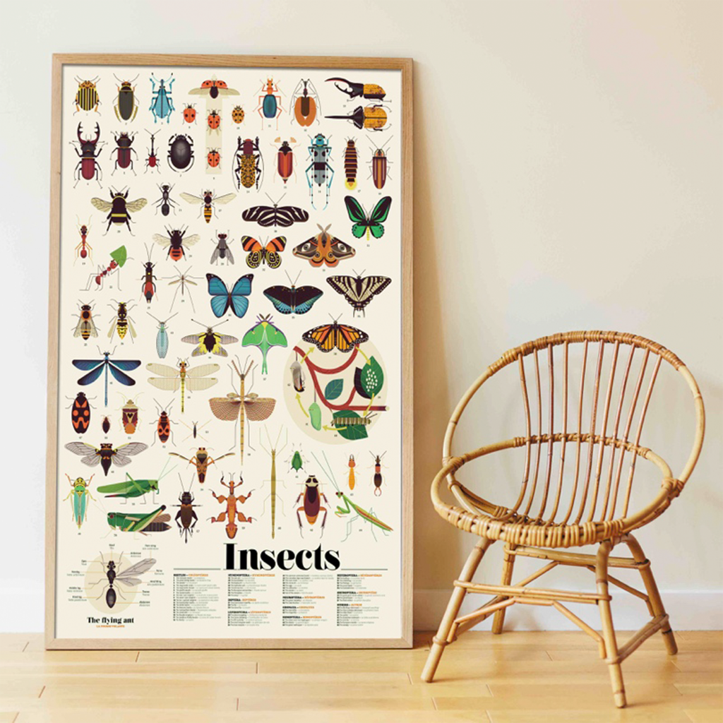 Poppik Insects Poster and Sticker Set