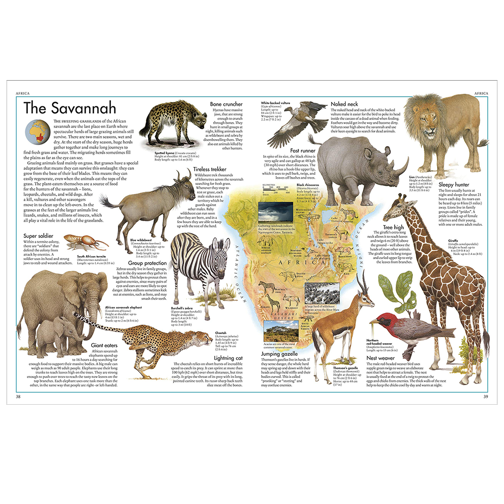 The Animal Atlas: A Pictorial Guide to the World's Wildlife by DK