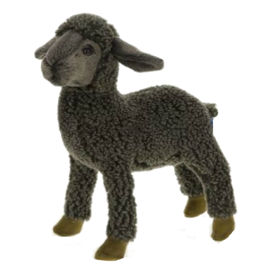 Hansa Black Sheep Kid 