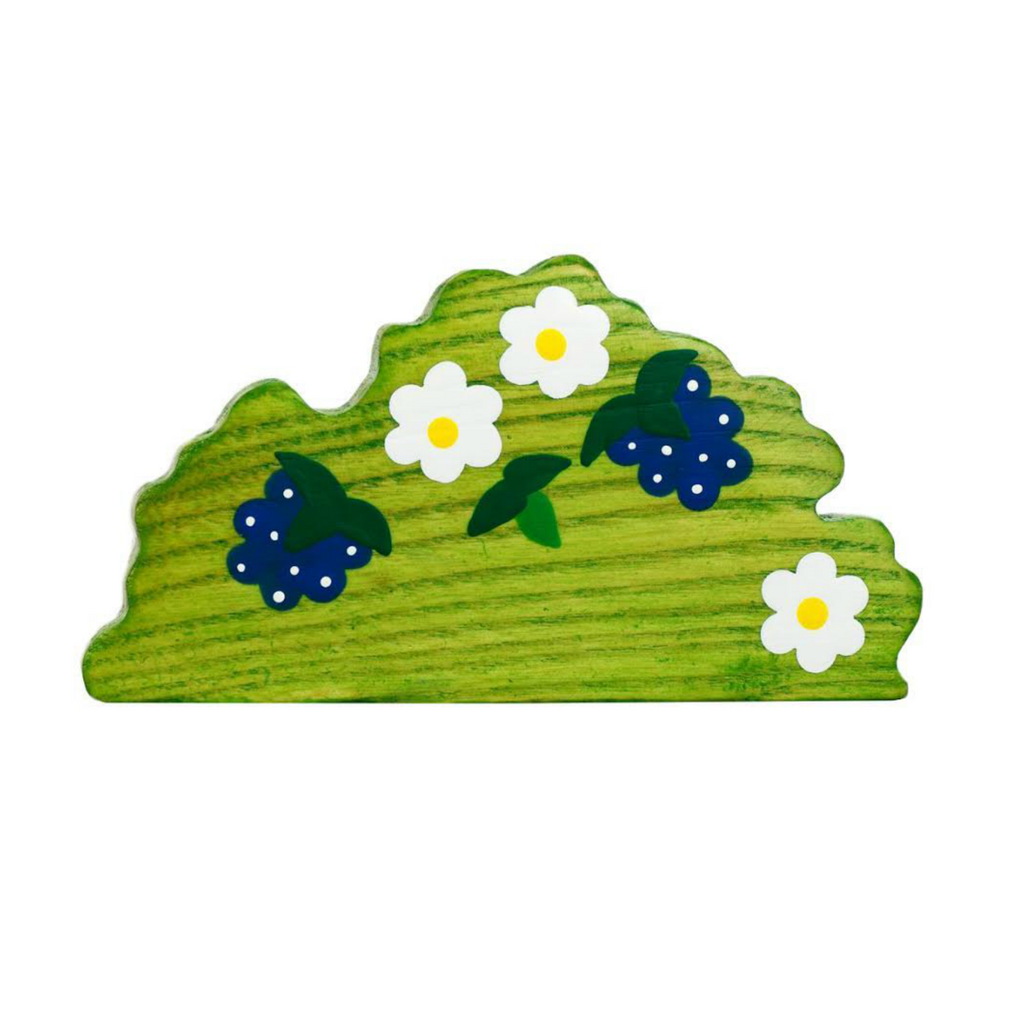 Blueberry Bush