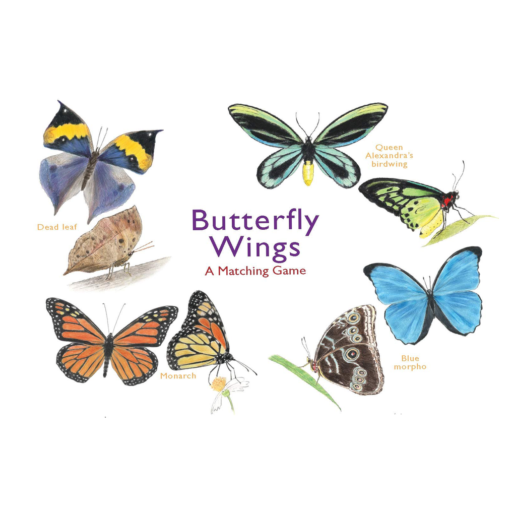 Butterfly Wings Matching Game