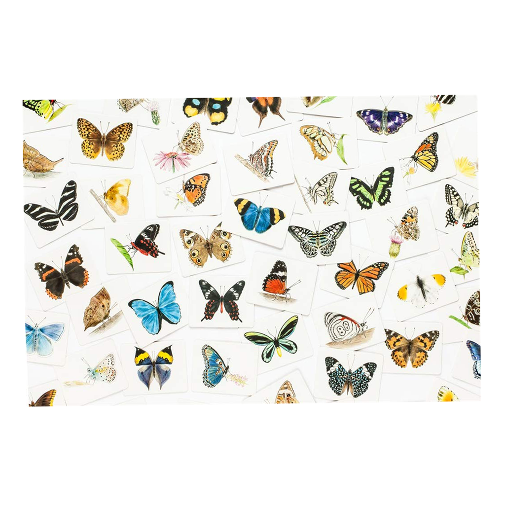 Butterfly Wings Matching Game