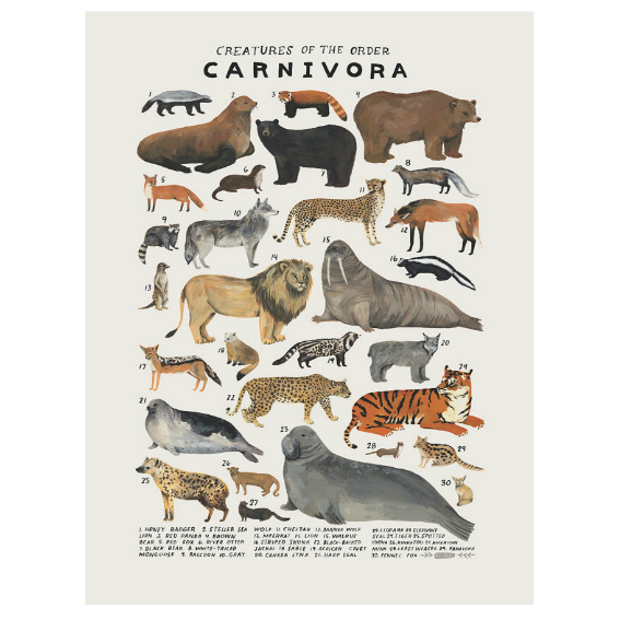 Kelzuki Creatures of the Order Carnivora Print 