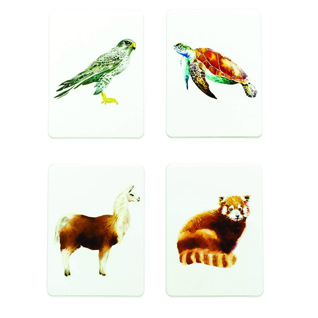 You Callin' Me a Cheetah? (Psst! I'm a Leopard!): An Animal Memory Game