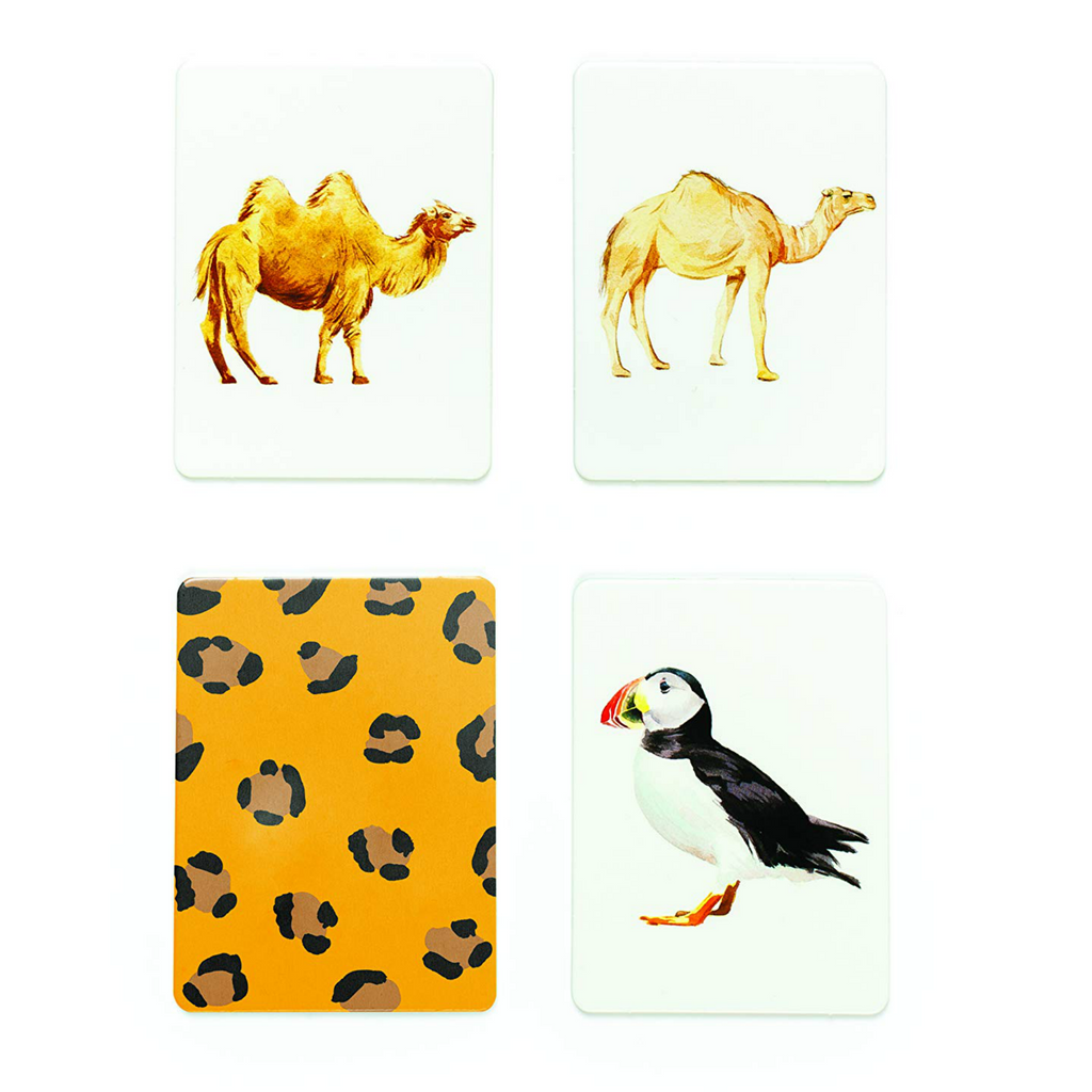 You Callin' Me a Cheetah? (Psst! I'm a Leopard!): An Animal Memory Game