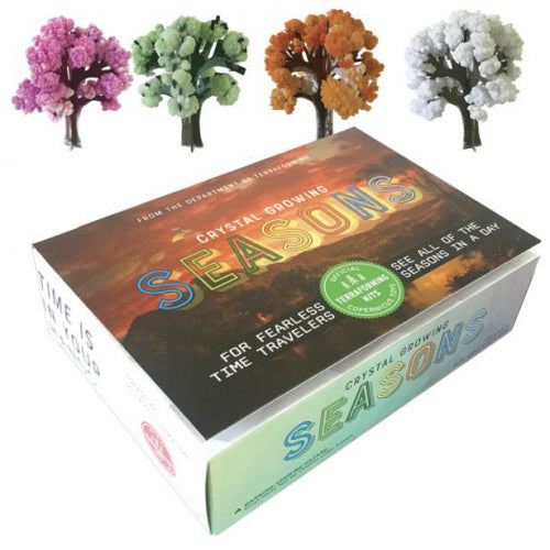 Crystal Growing Seasonal Trees