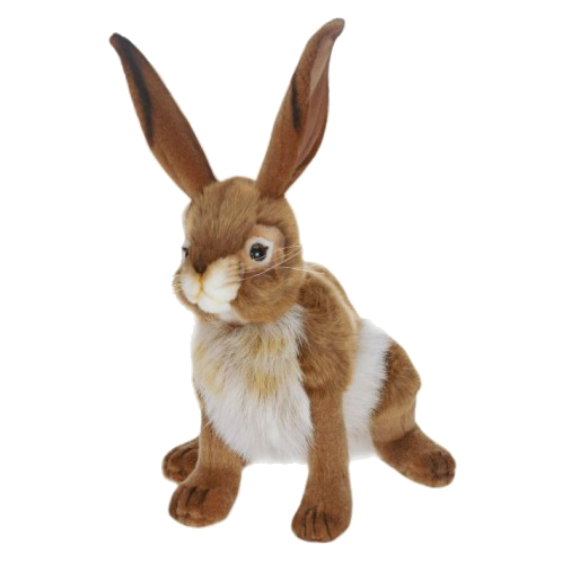 Hansa Rabbit 