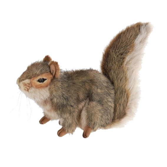 Hansa Squirrel 