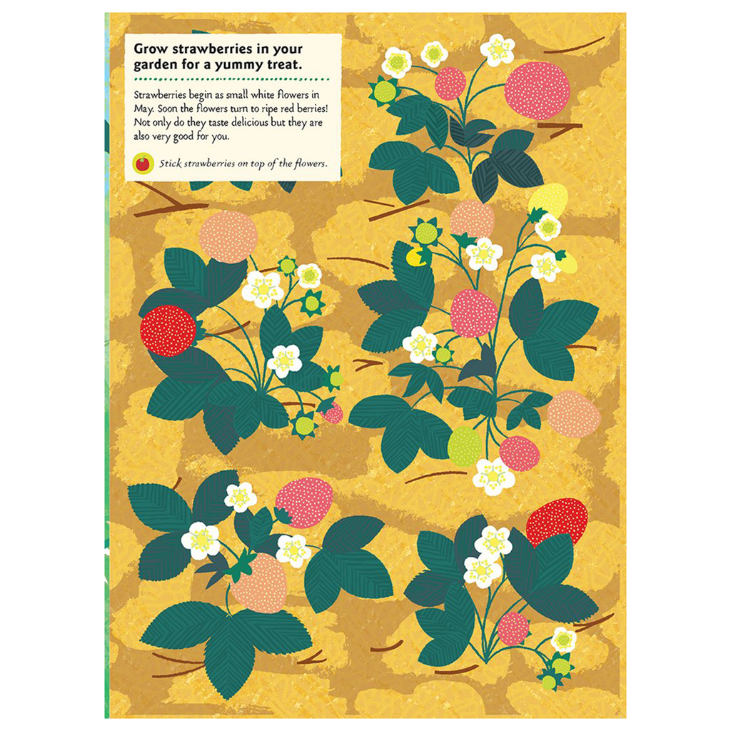 In the Vegetable Garden: My Nature Sticker Activity Book