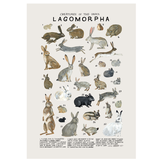 Kelzuki Creatures of the Order Lagomorpha 