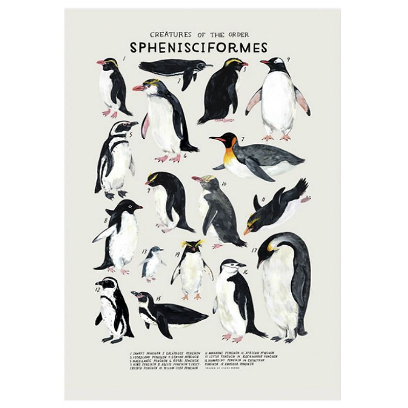 Kelzuki Creatures of the Infraorder Sphenisciformes Print