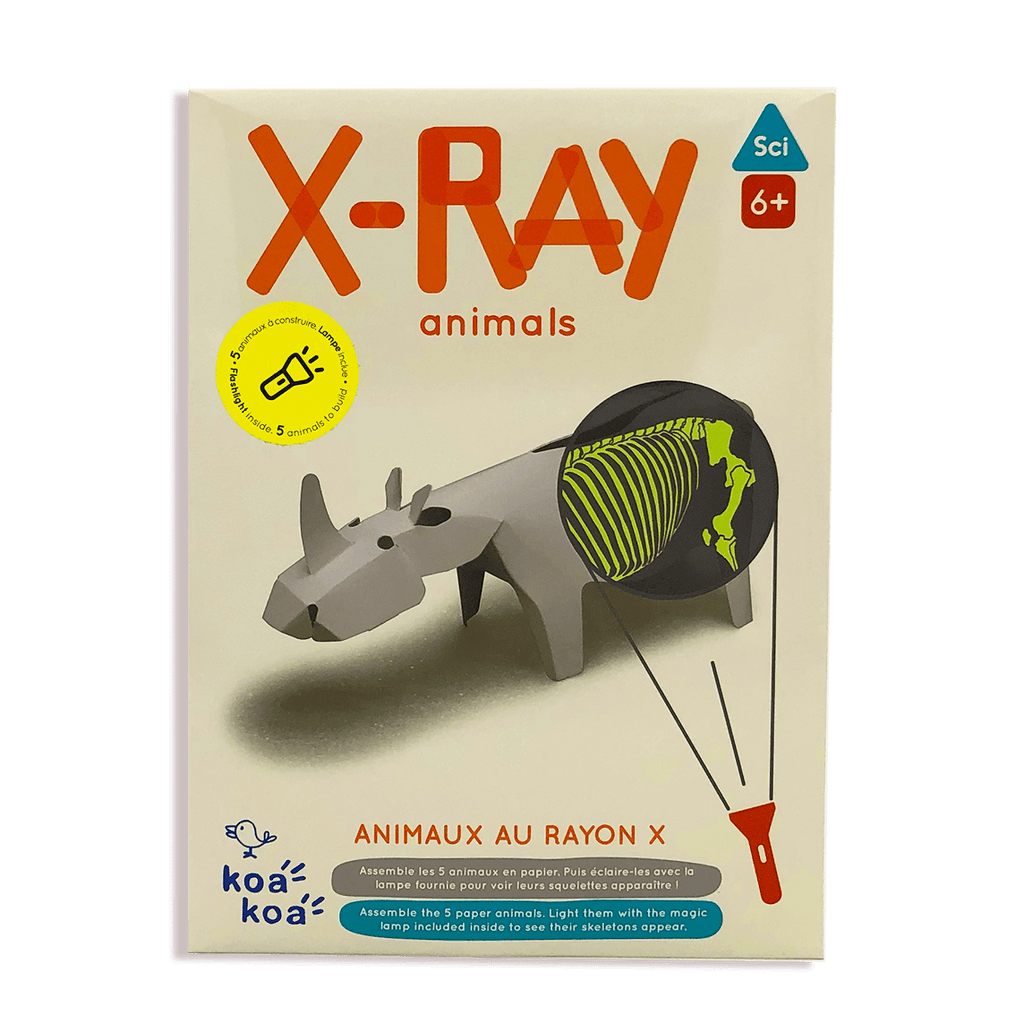 DIY X-Ray Animals Kit