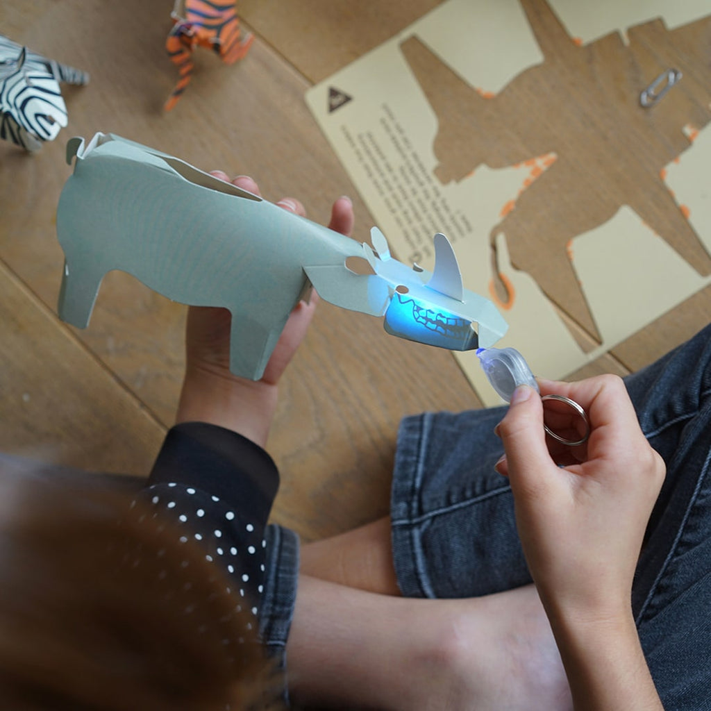 DIY X-Ray Animals Kit