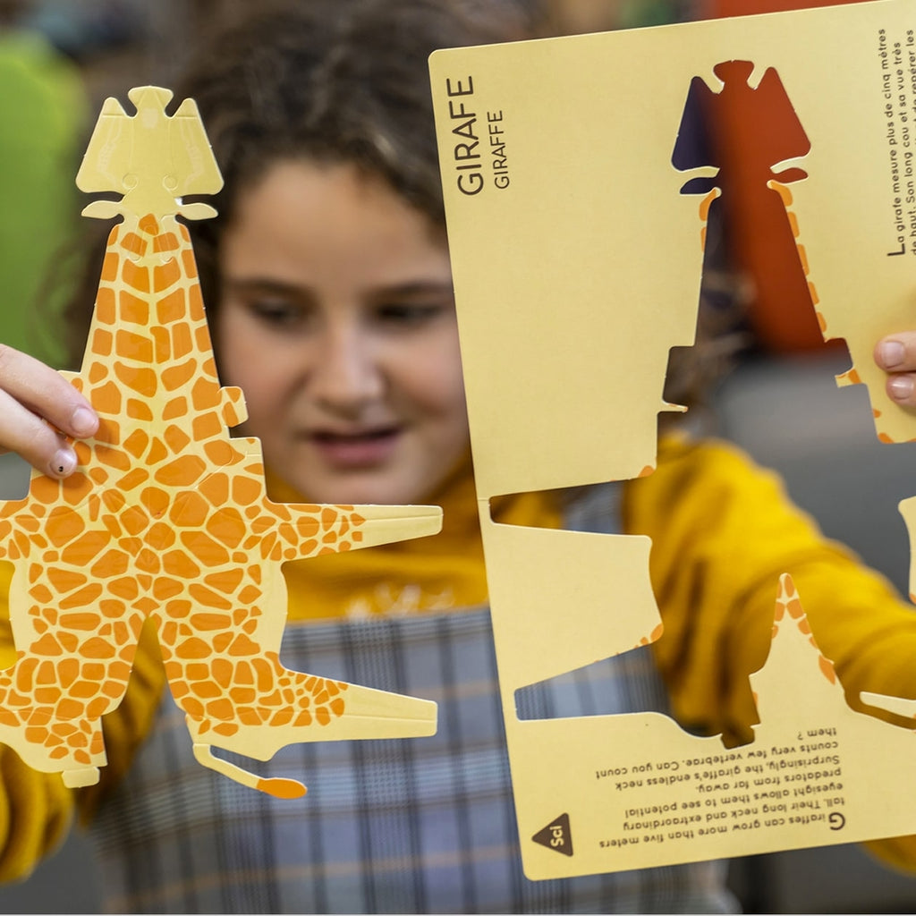 DIY X-Ray Animals Kit