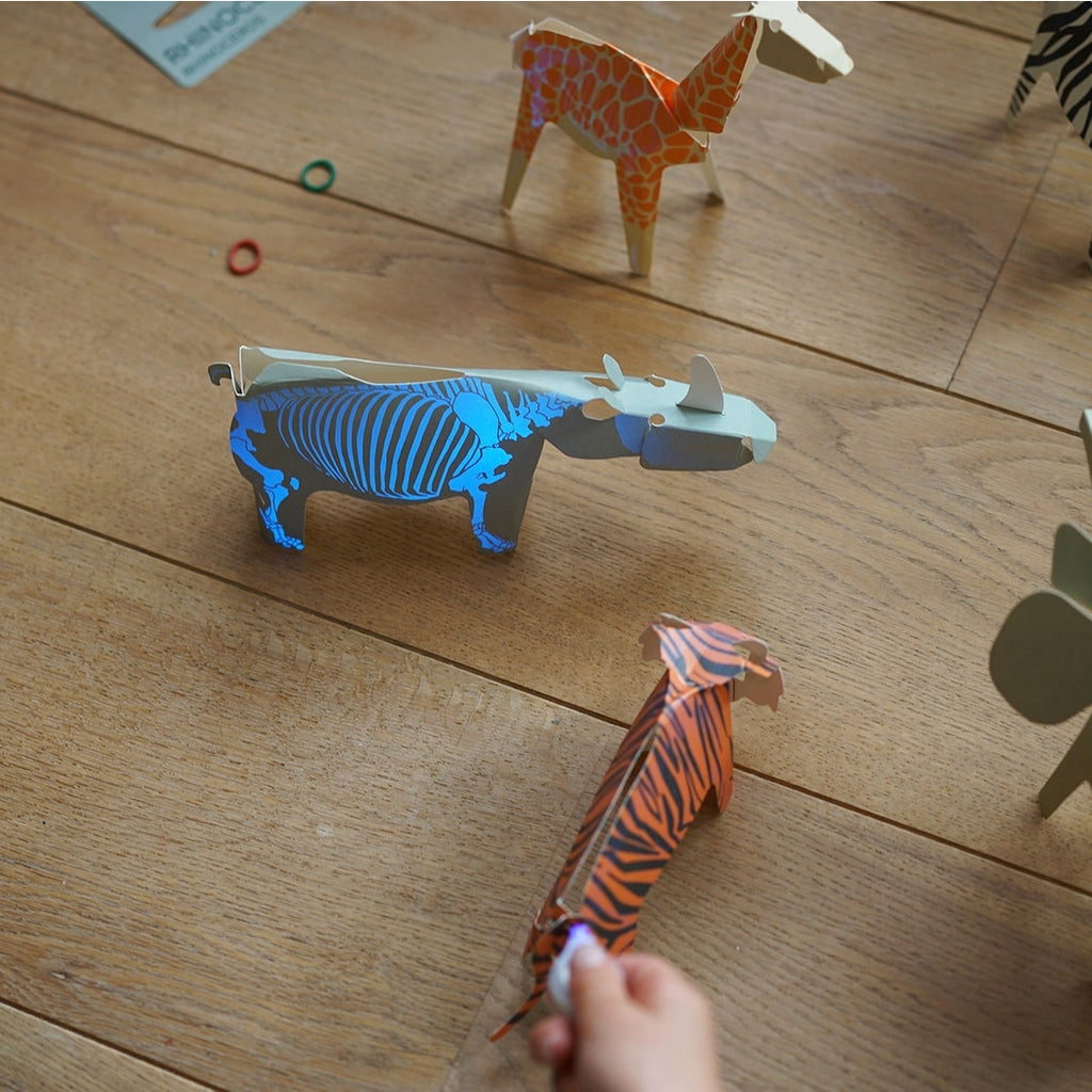 DIY X-Ray Animals Kit