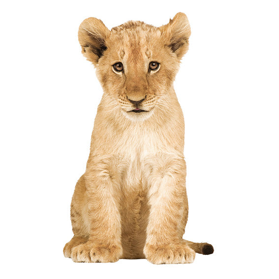 Lion Cub Wall Sticker 